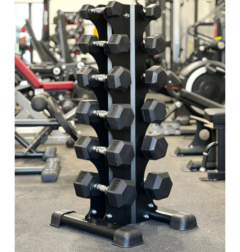 6 Pair Vertical Dumbbell Rack (holds 5-30lb Set)